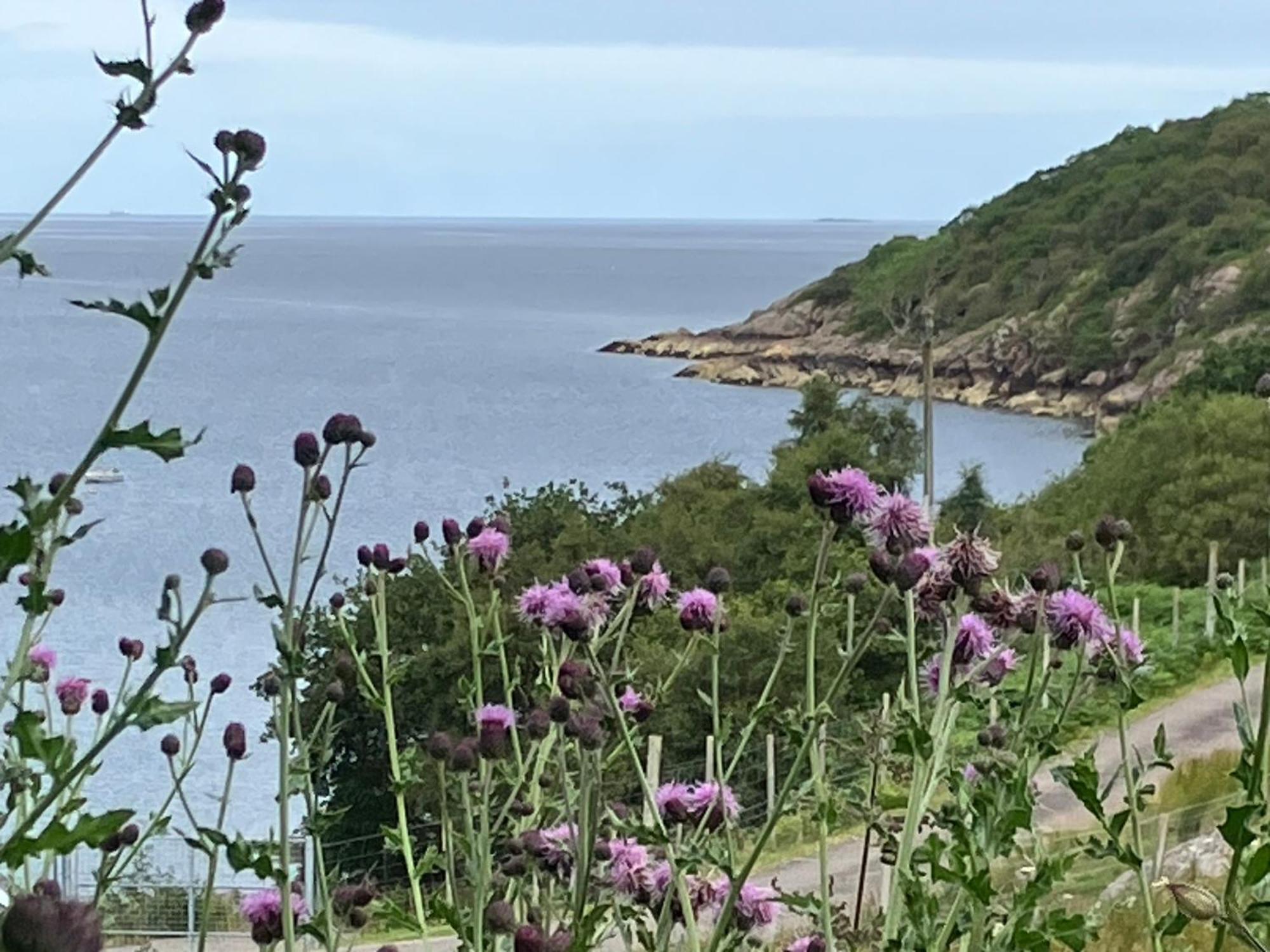 Waterfront Cottage Applecross Peninsula Ardheslaig ภายนอก รูปภาพ